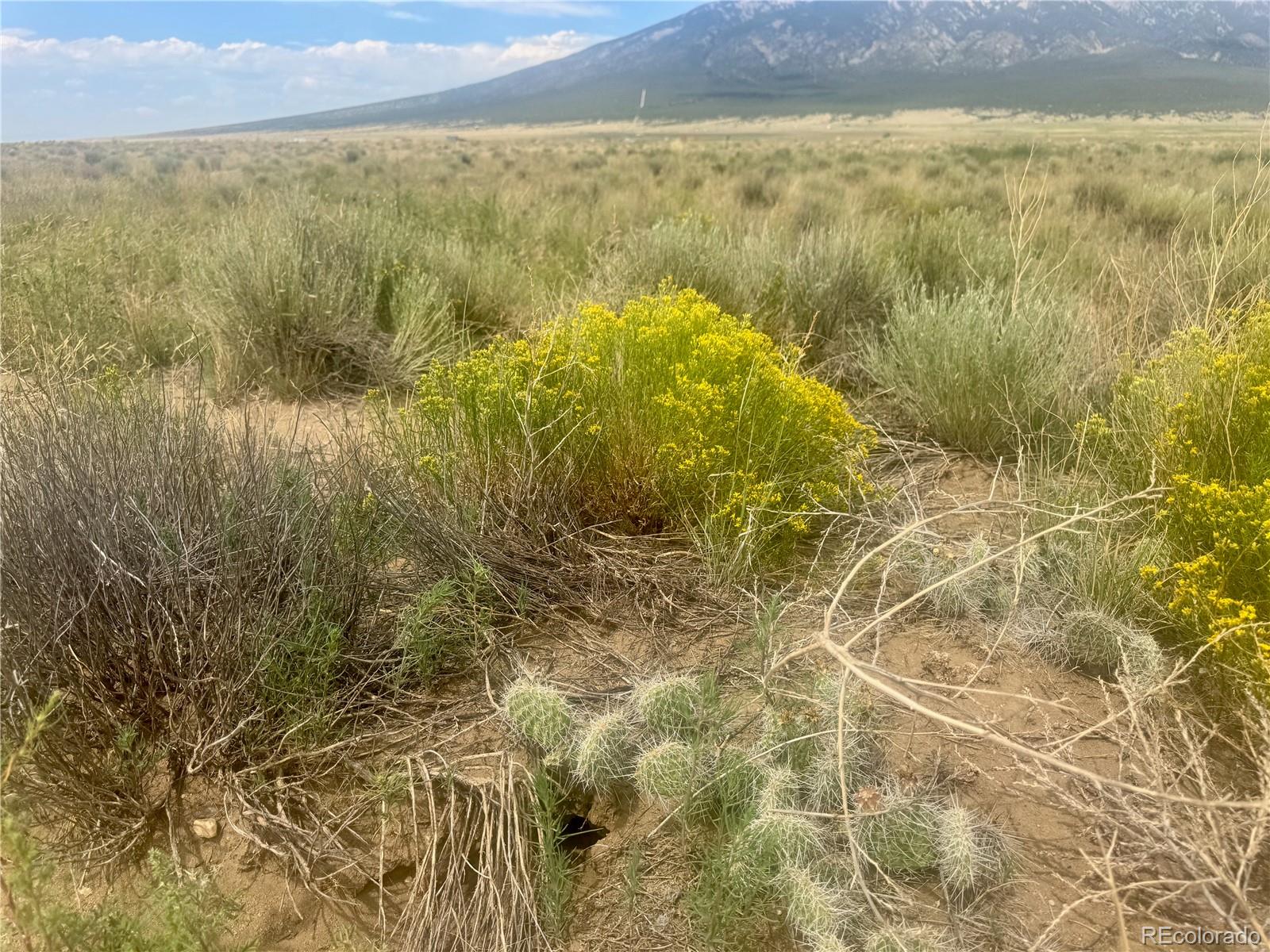 Lot 10 Ll 9th Street Blanca CO 81123