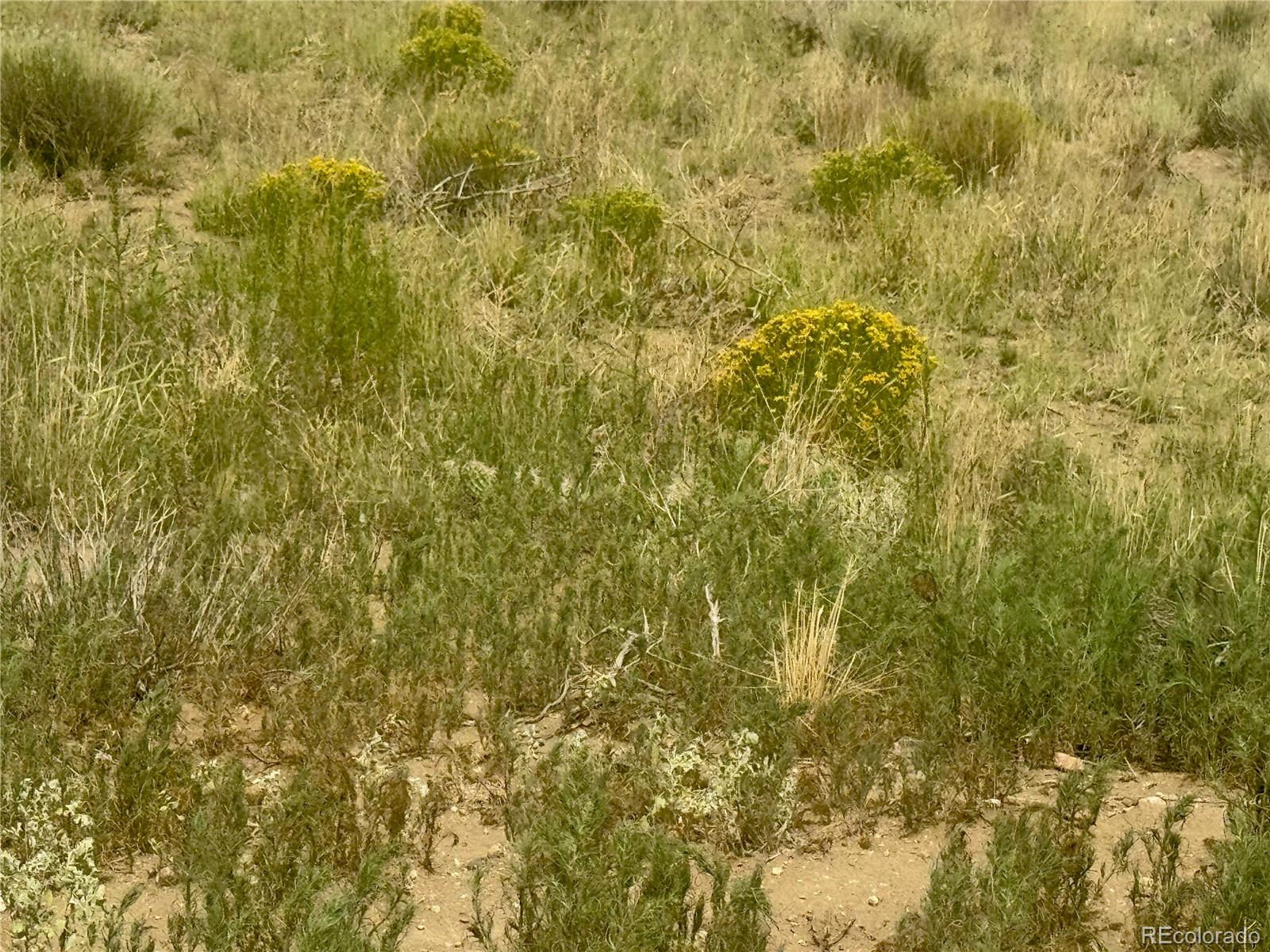 Lot 10 Ll 9th Street Blanca CO 81123
