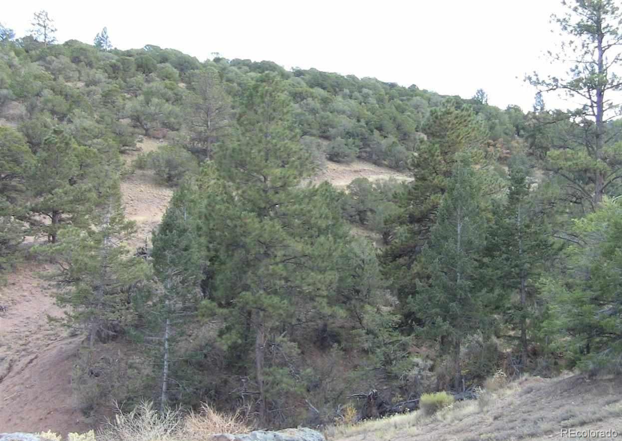 Lot 29 Lakeview Road San Luis CO 81152