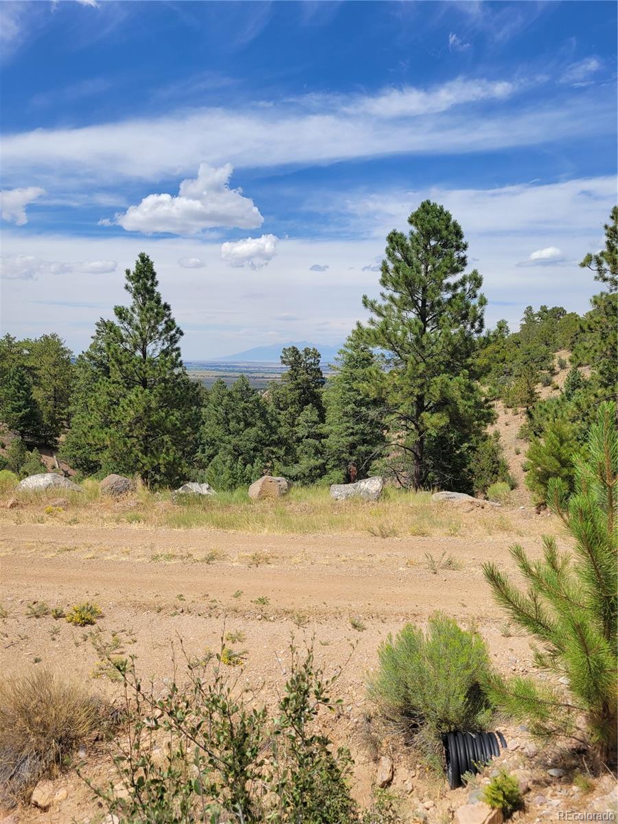 Lot 29 Lakeview Road San Luis CO 81152