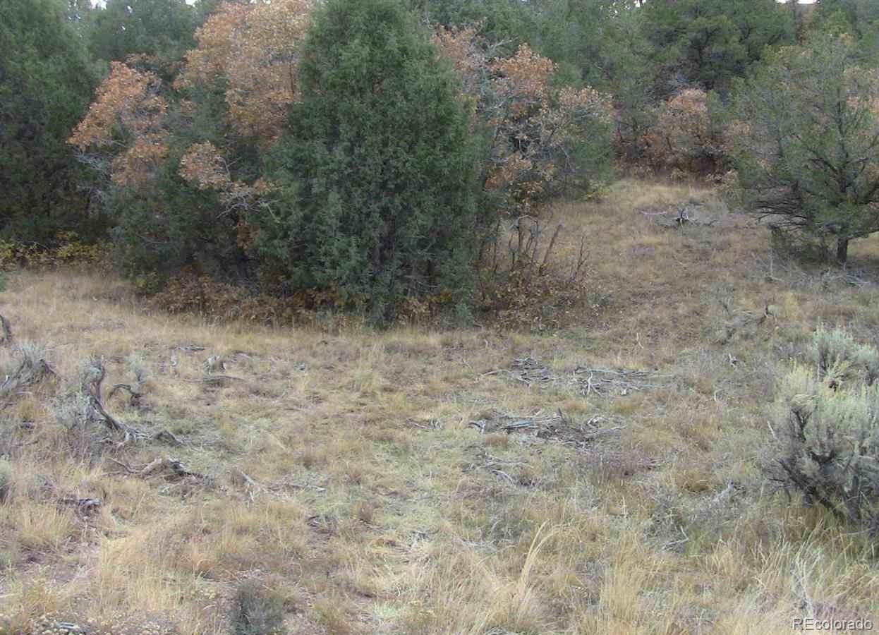 Lot 29 Lakeview Road San Luis CO 81152