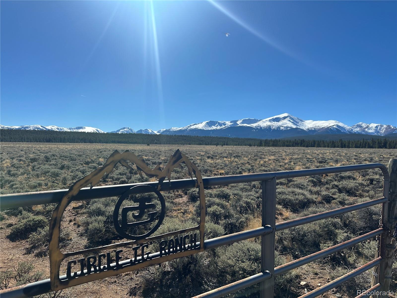15 County Road 10 Leadville CO 80461