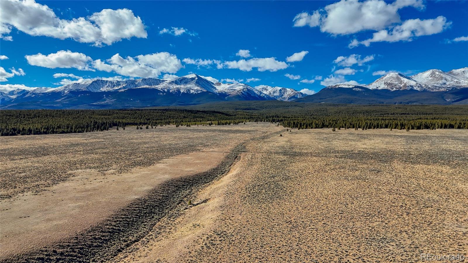 15 County Road 10 Leadville CO 80461
