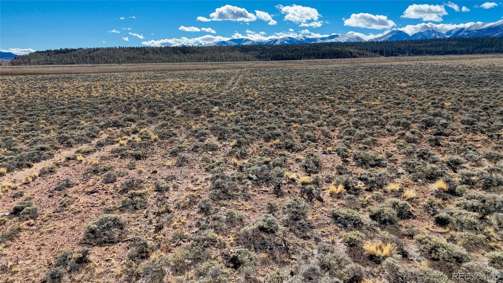 15 County Road 10 Leadville CO 80461