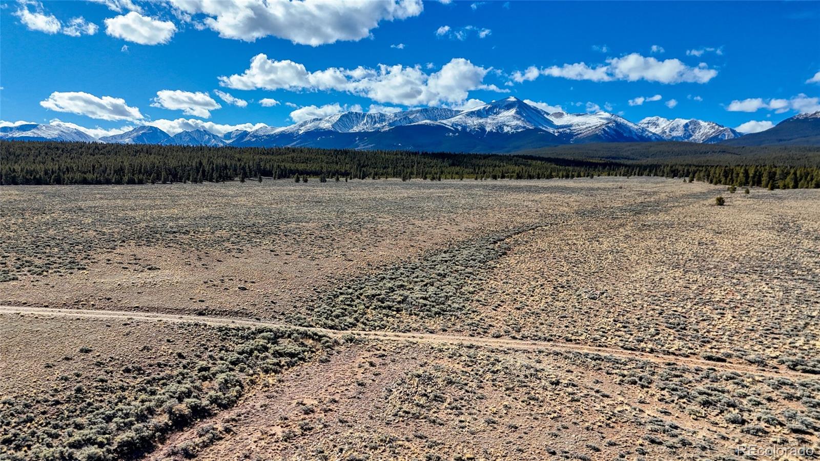 15 County Road 10 Leadville CO 80461