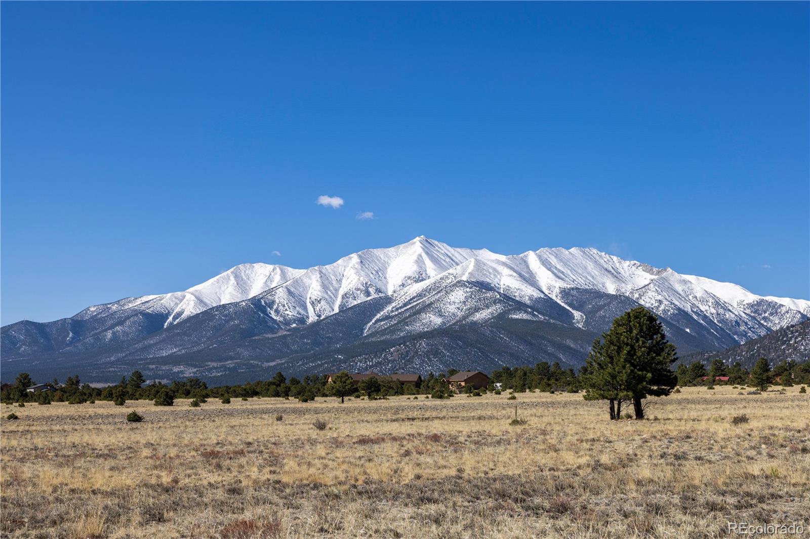 Tbd County Road 365 Buena Vista CO 81211