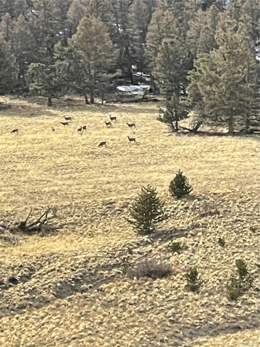 5123 Bar D Road Como CO 80432