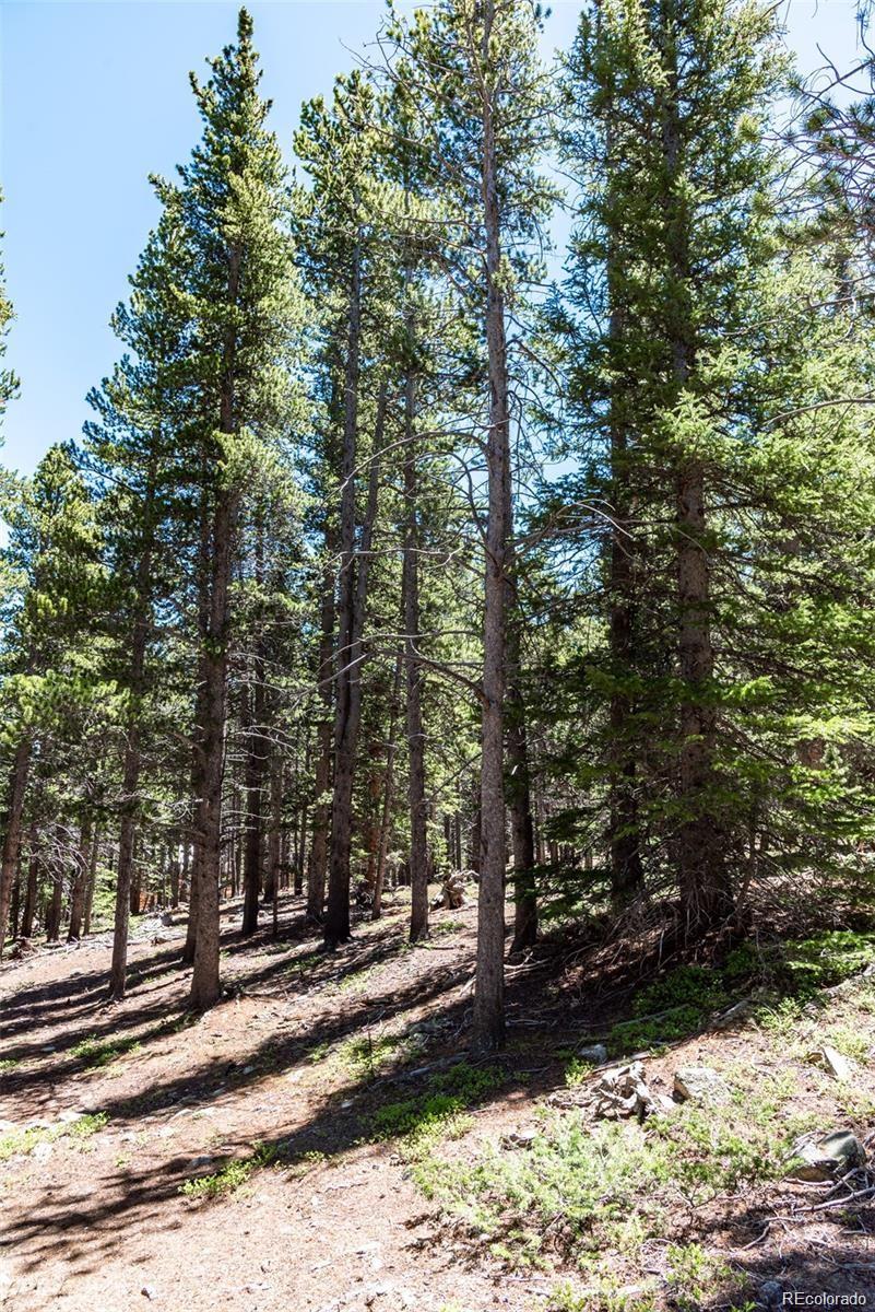176 Gold Trail Circle Fairplay CO 80440