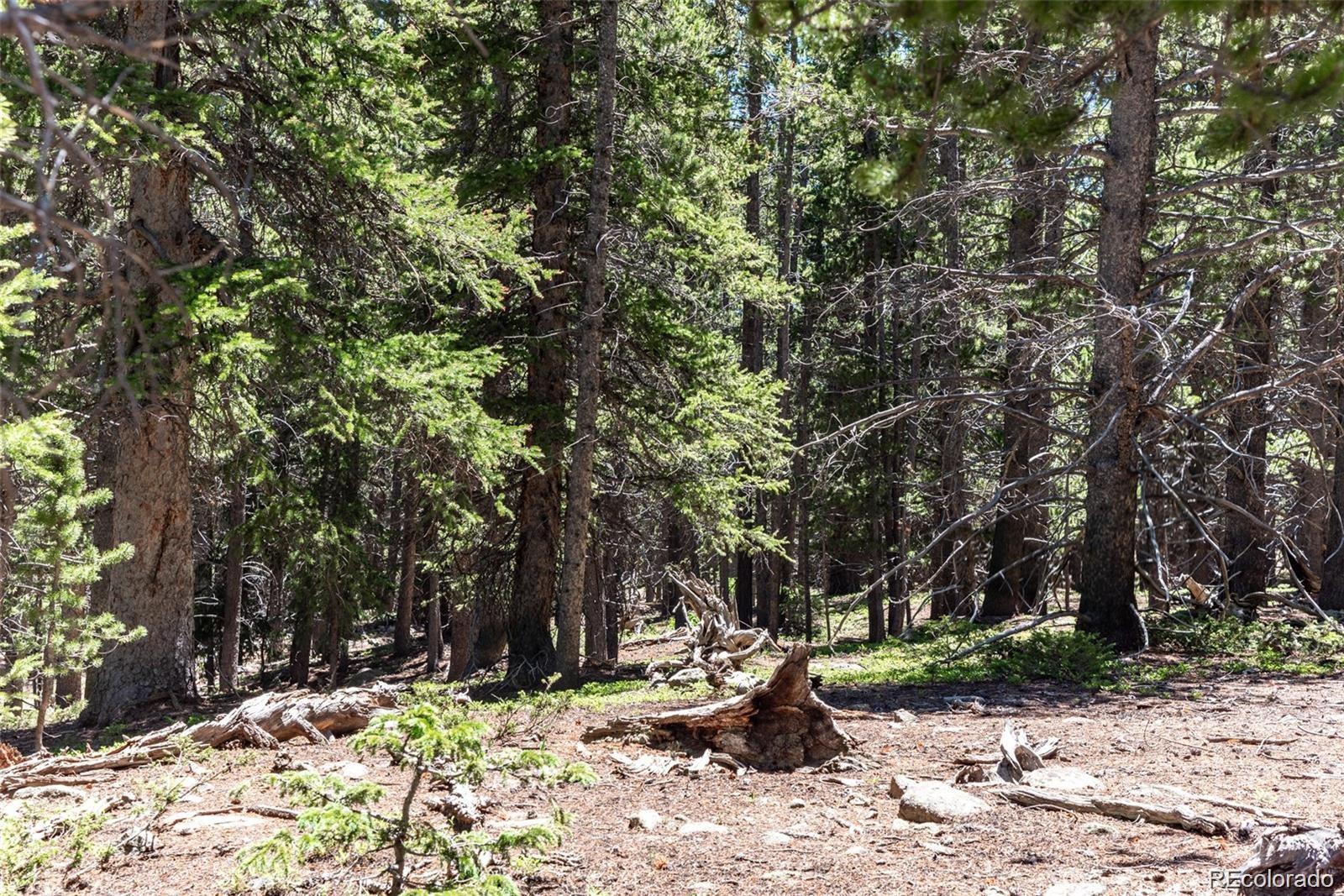 176 Gold Trail Circle Fairplay CO 80440