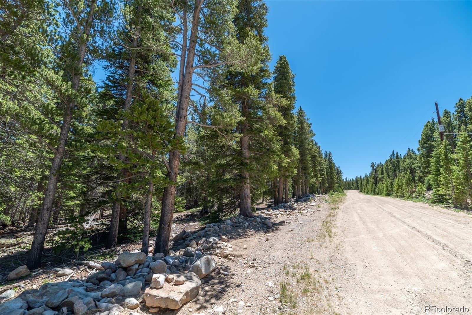 176 Gold Trail Circle Fairplay CO 80440
