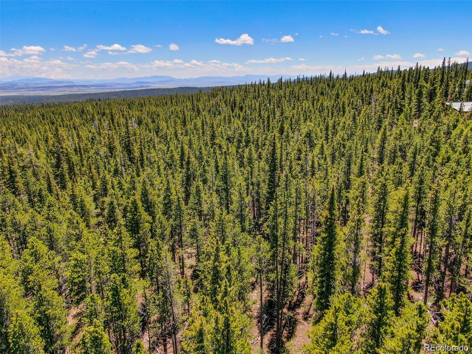 176 Gold Trail Circle Fairplay CO 80440