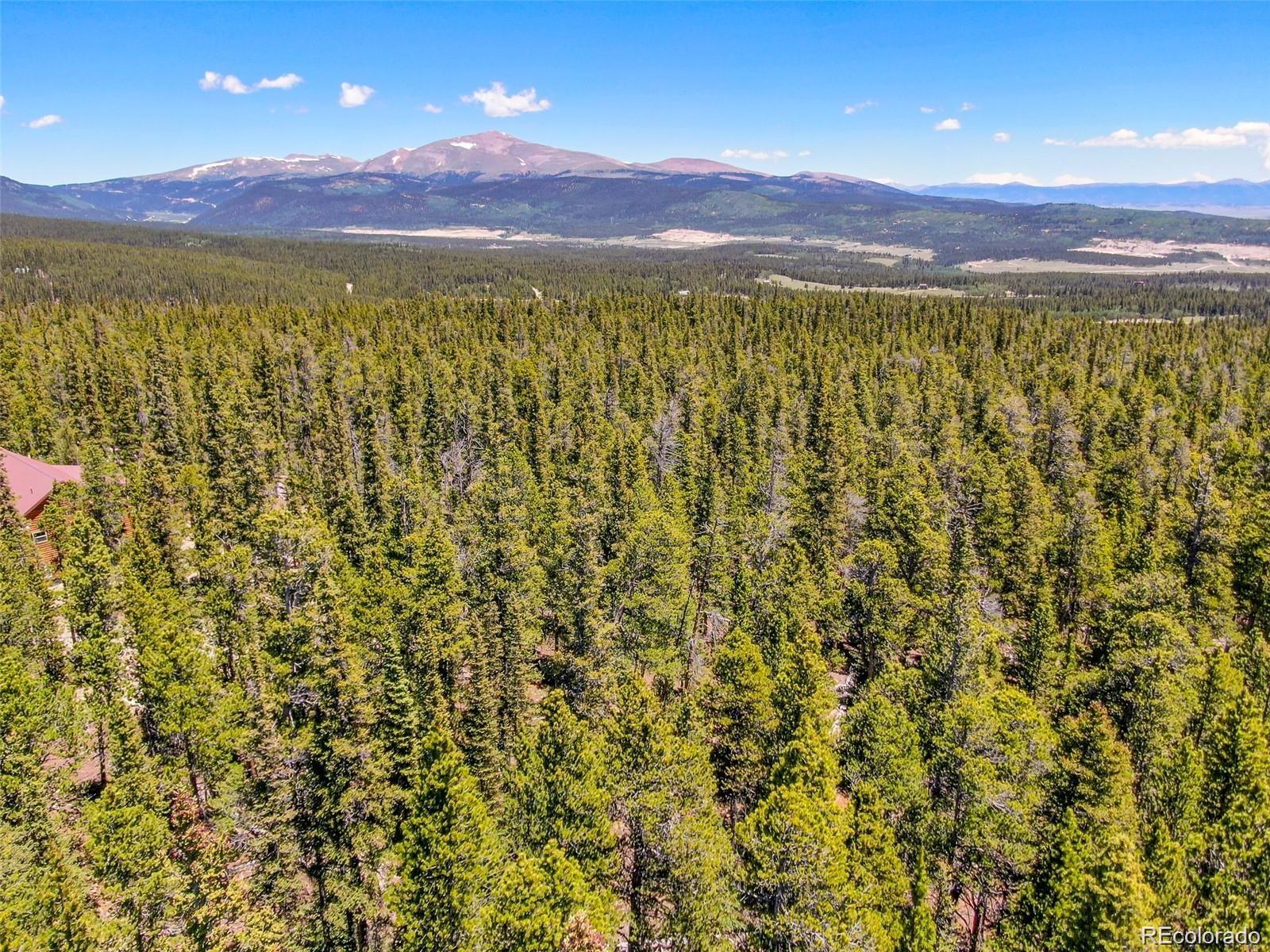 176 Gold Trail Circle Fairplay CO 80440