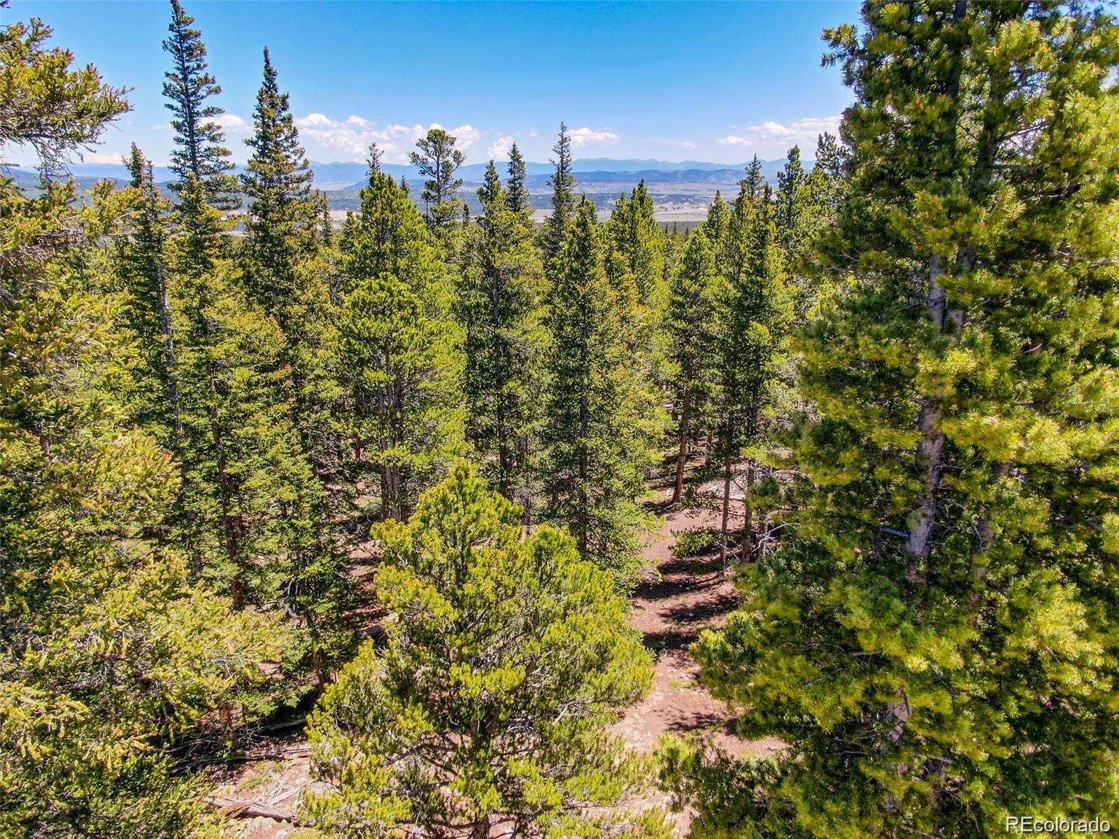176 Gold Trail Circle Fairplay CO 80440