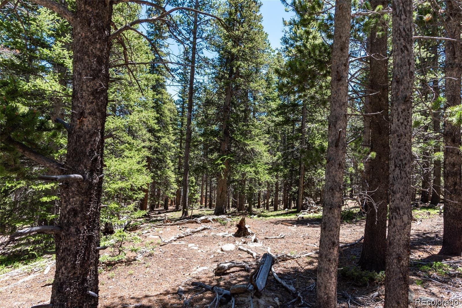 176 Gold Trail Circle Fairplay CO 80440