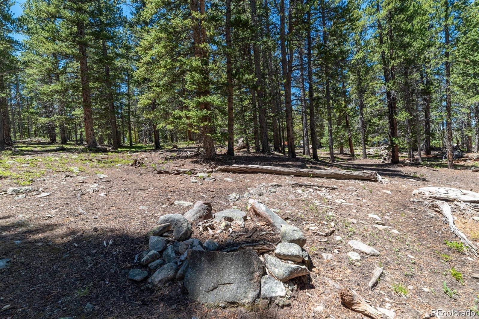 176 Gold Trail Circle Fairplay CO 80440