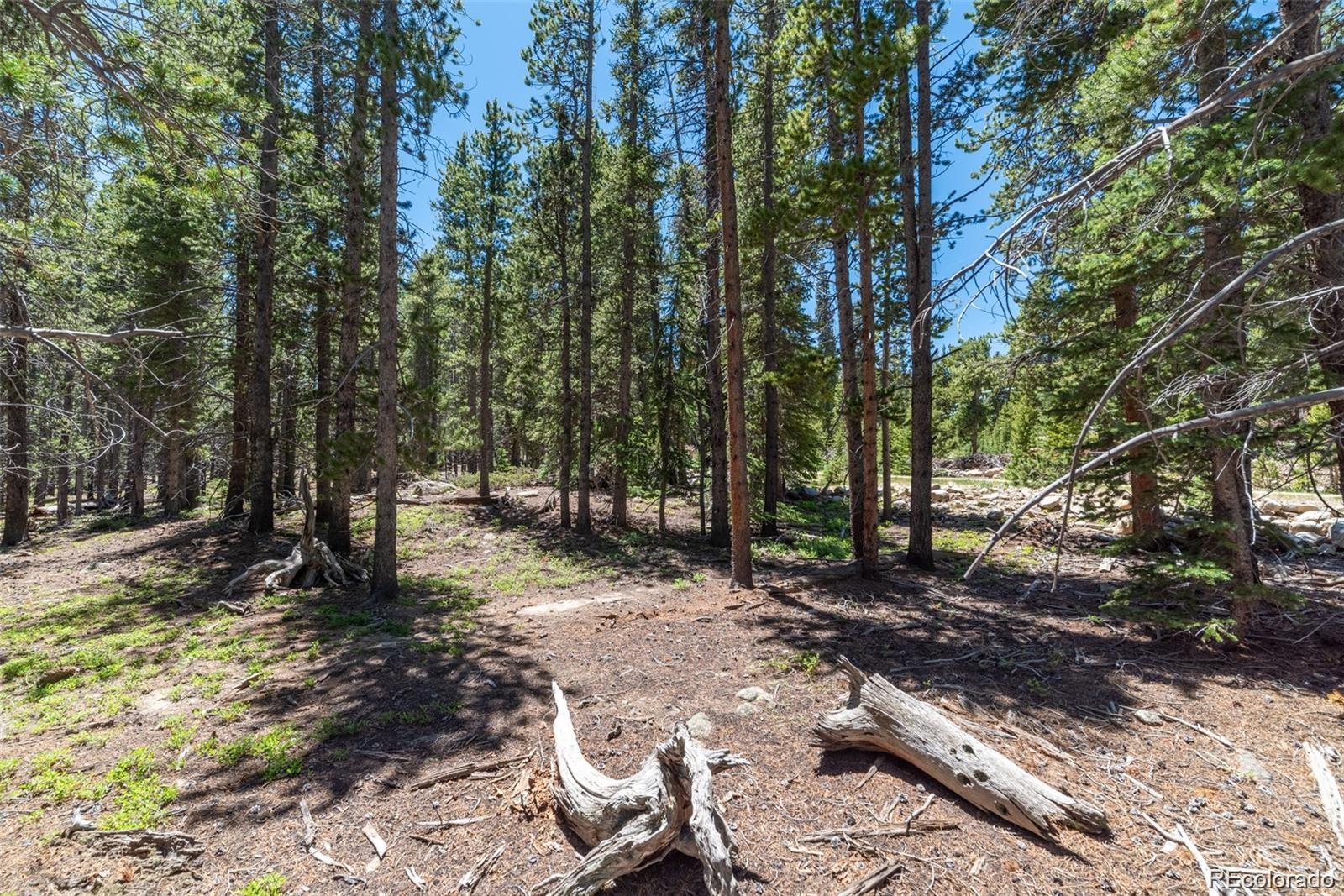 176 Gold Trail Circle Fairplay CO 80440