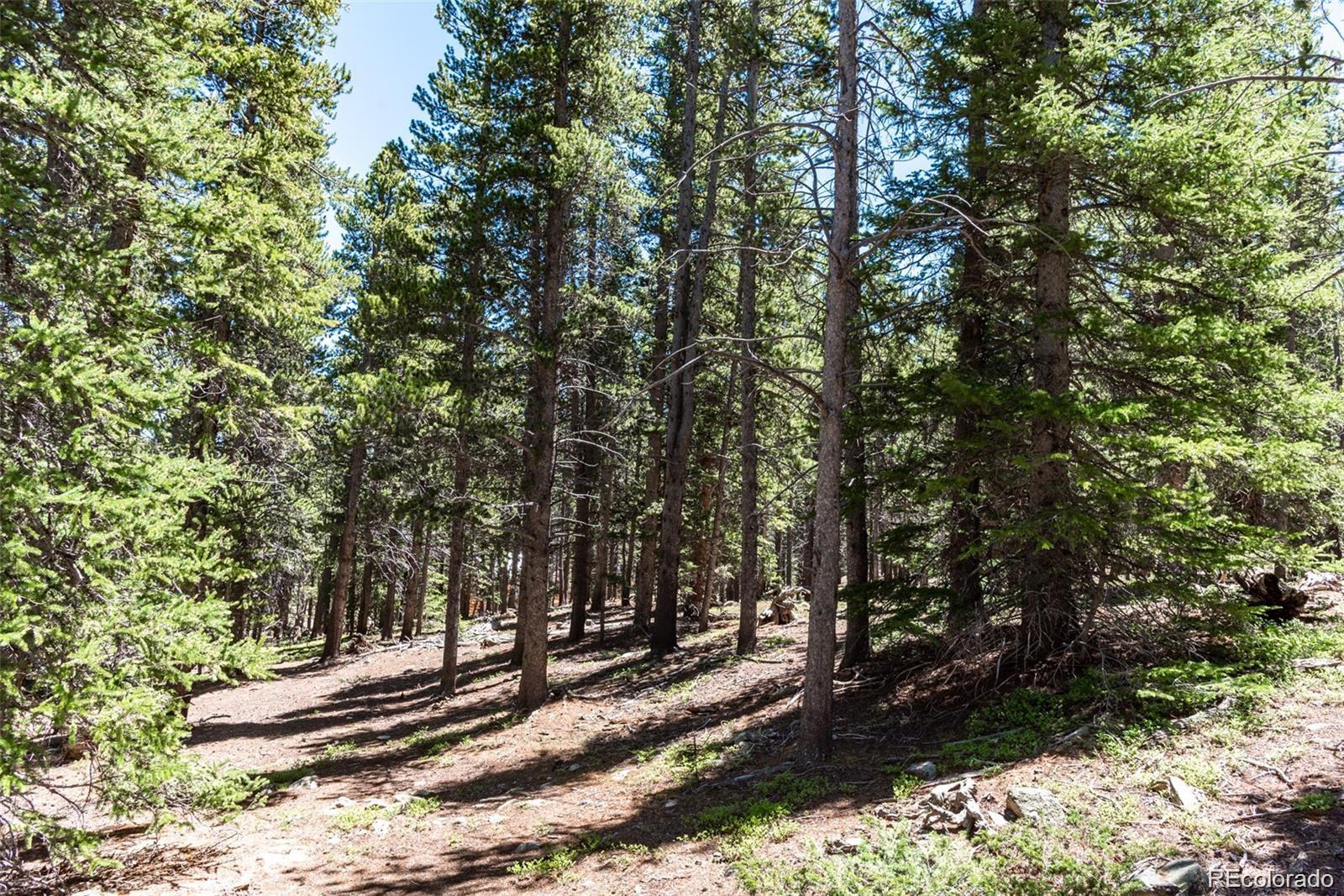 176 Gold Trail Circle Fairplay CO 80440