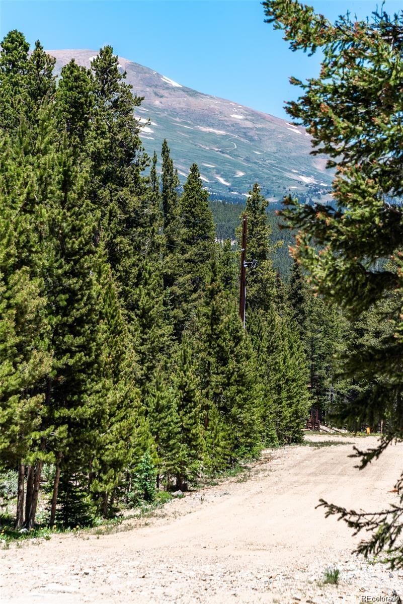 176 Gold Trail Circle Fairplay CO 80440