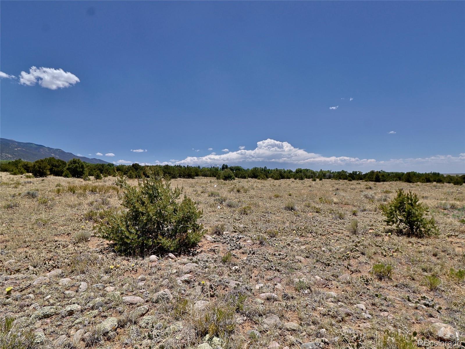 173 Gold Rush Trail Crestone CO 81131