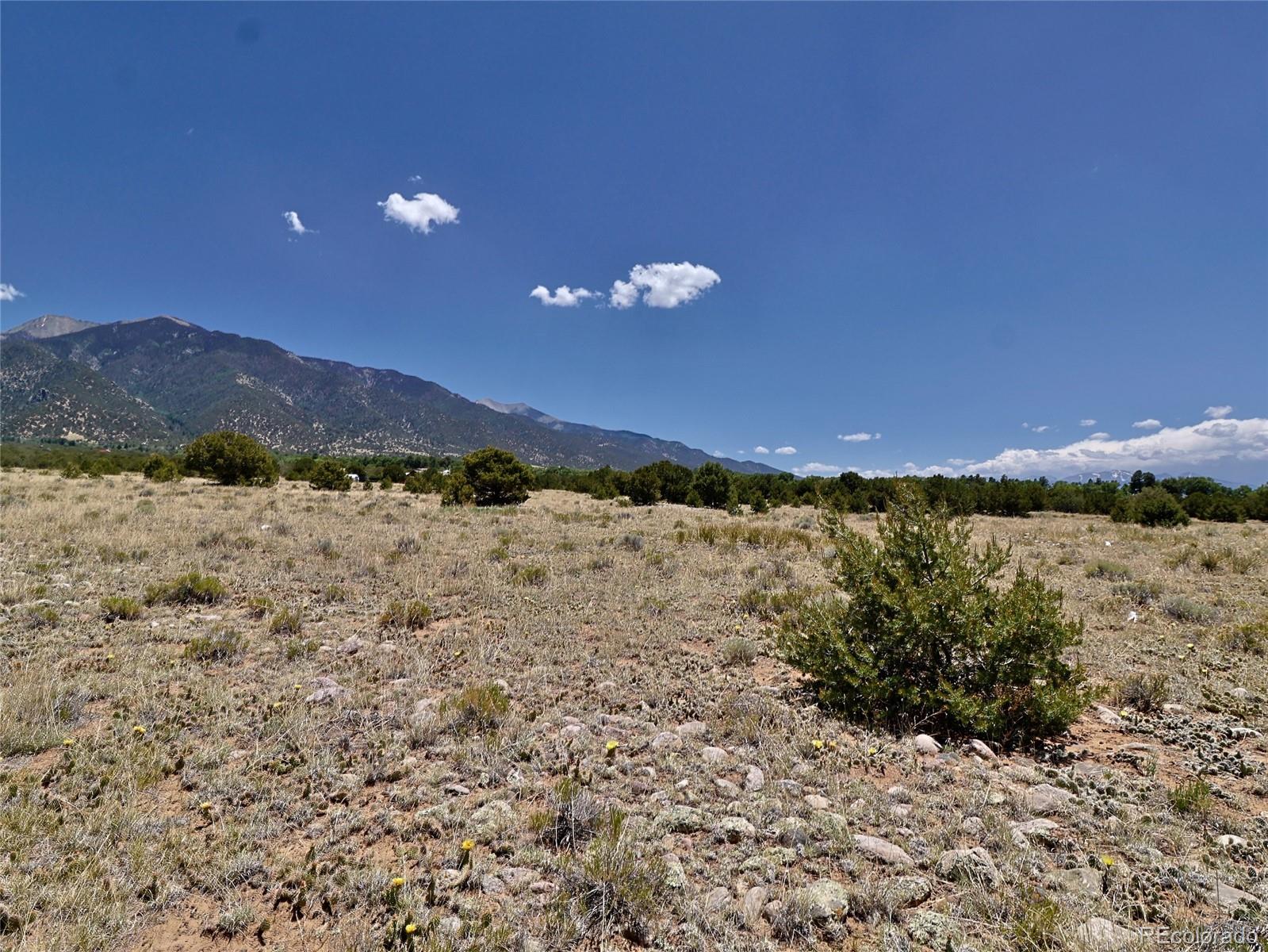 173 Gold Rush Trail Crestone CO 81131