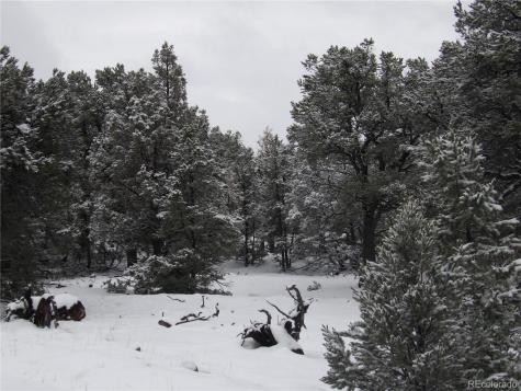 2119 & 2120 Oriole Overlook Crestone CO 81131