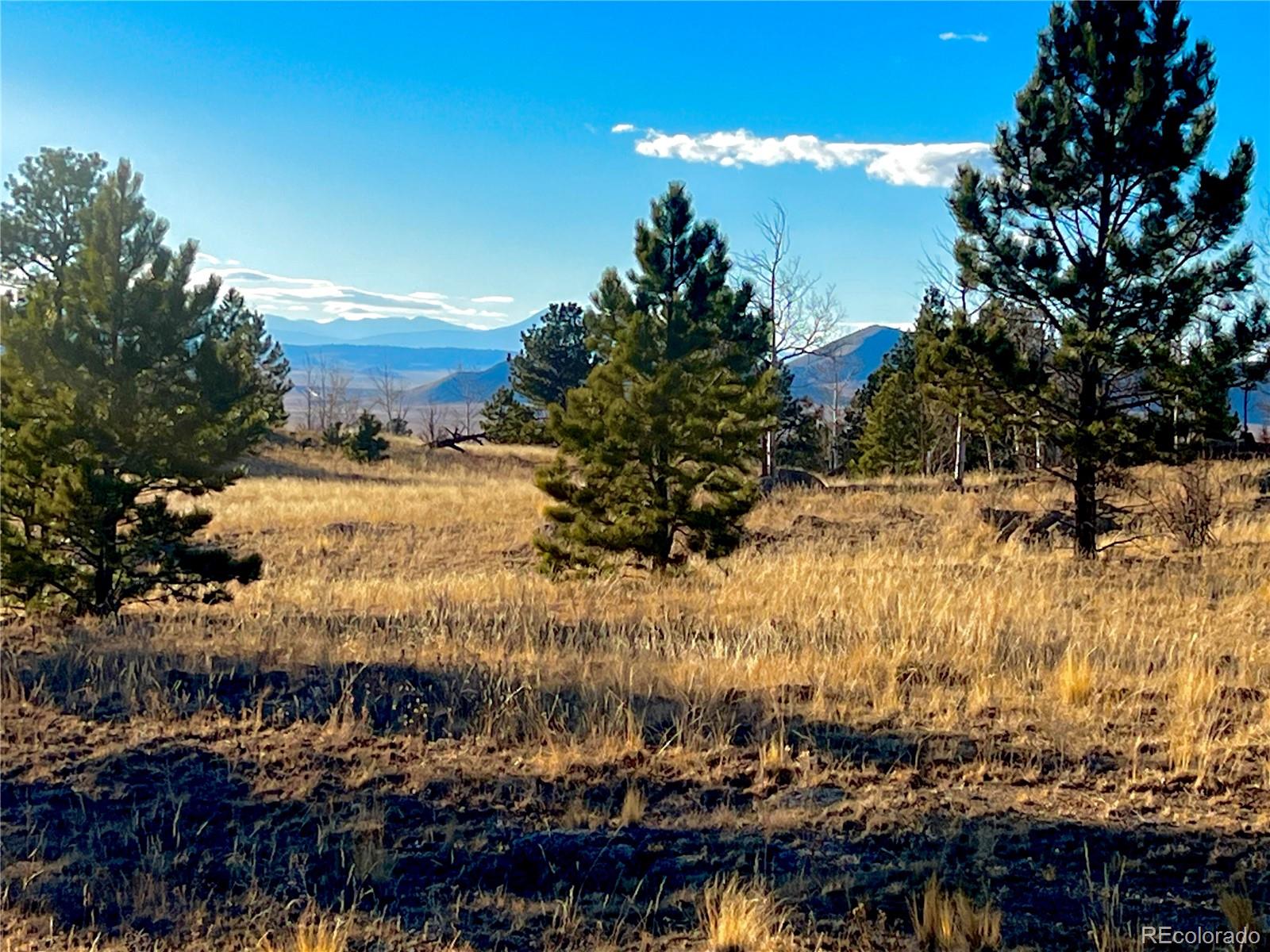 215 Topaz Road Lake George CO 80827
