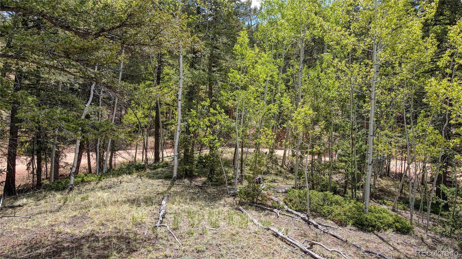 1058 Bennett Drive Cripple Creek CO 80813