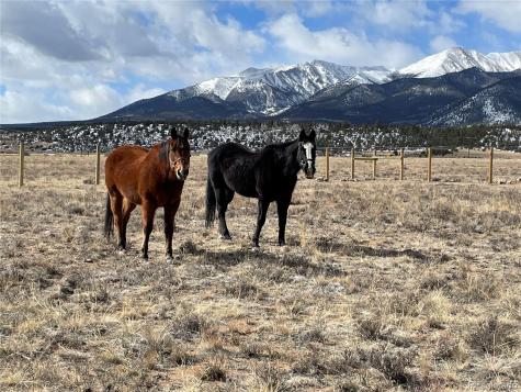 13310 County Road 280 Nathrop CO 81236
