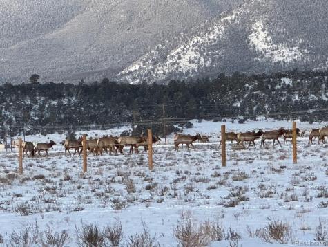 13310 County Road 280 Nathrop CO 81236