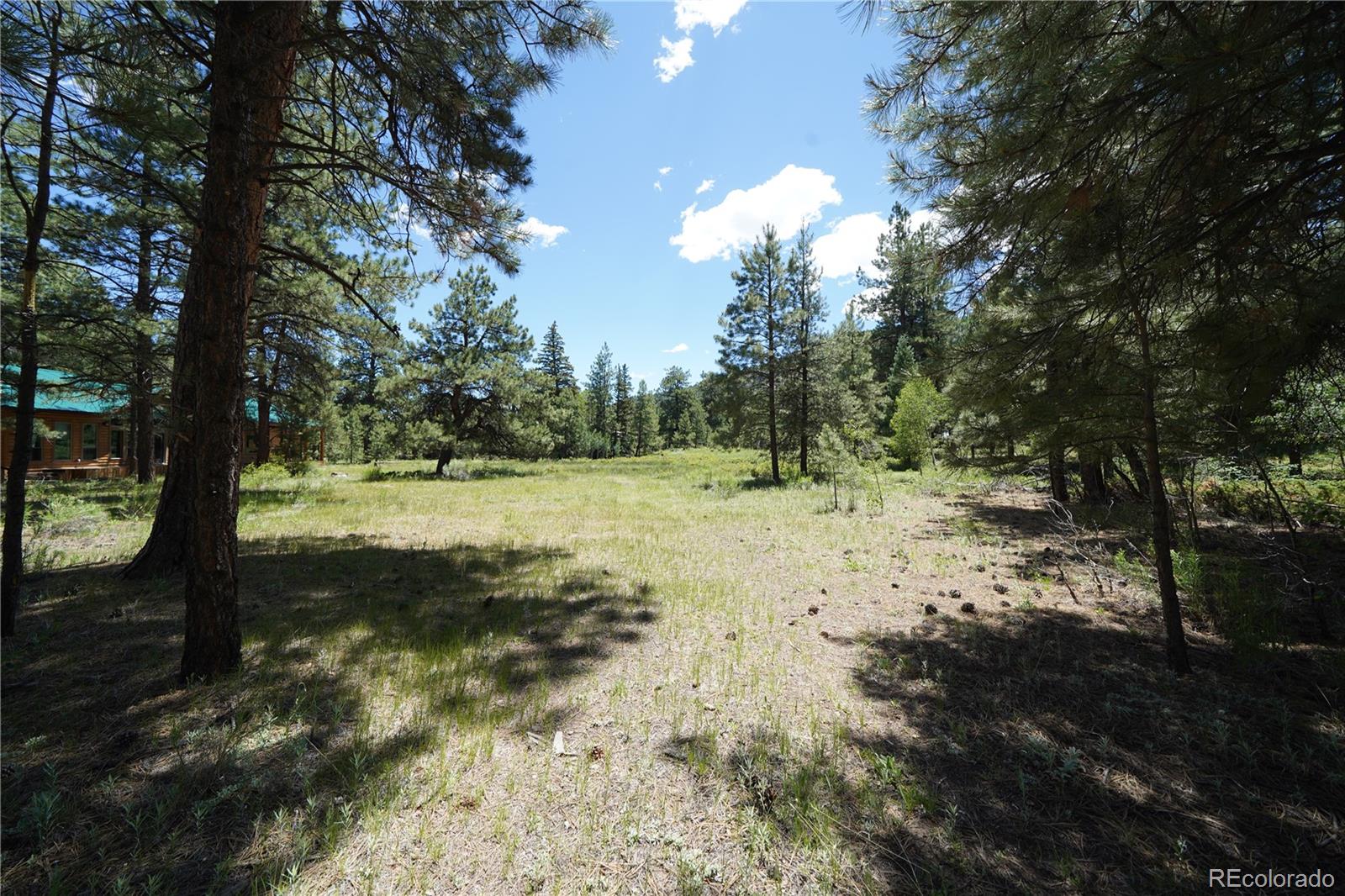 136 Elk Meadow Run Antonito CO 81120