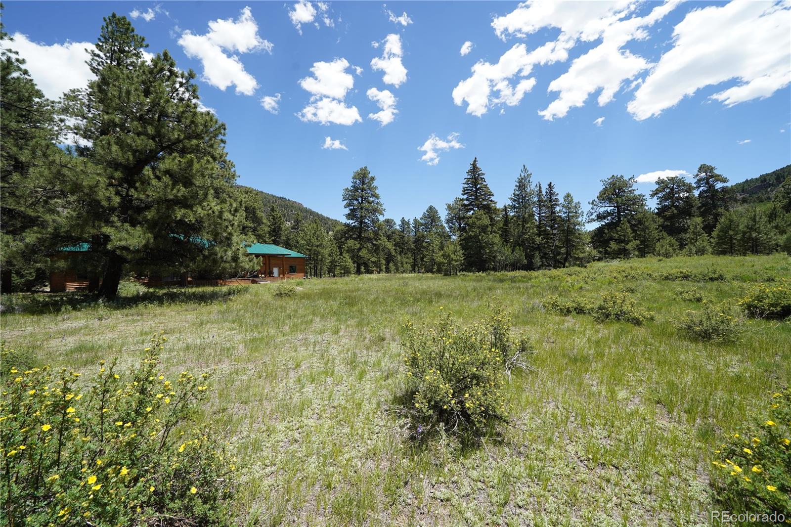 136 Elk Meadow Run Antonito CO 81120