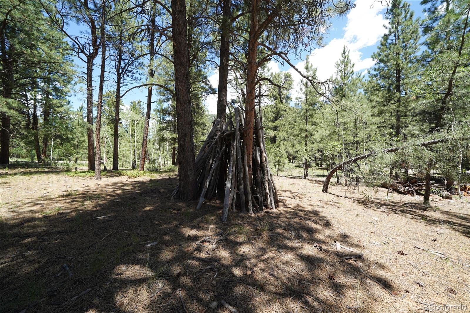 136 Elk Meadow Run Antonito CO 81120