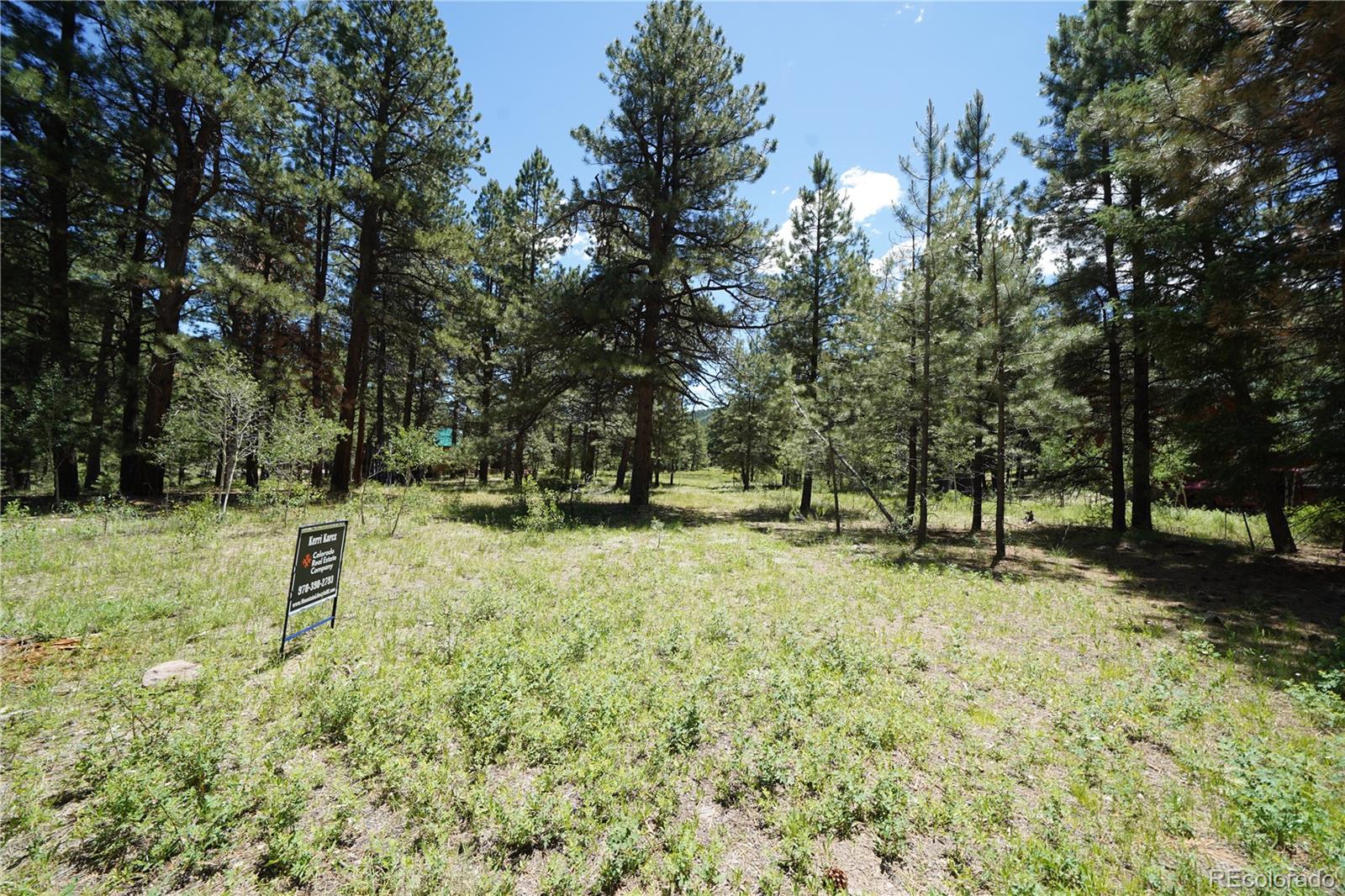 136 Elk Meadow Run Antonito CO 81120