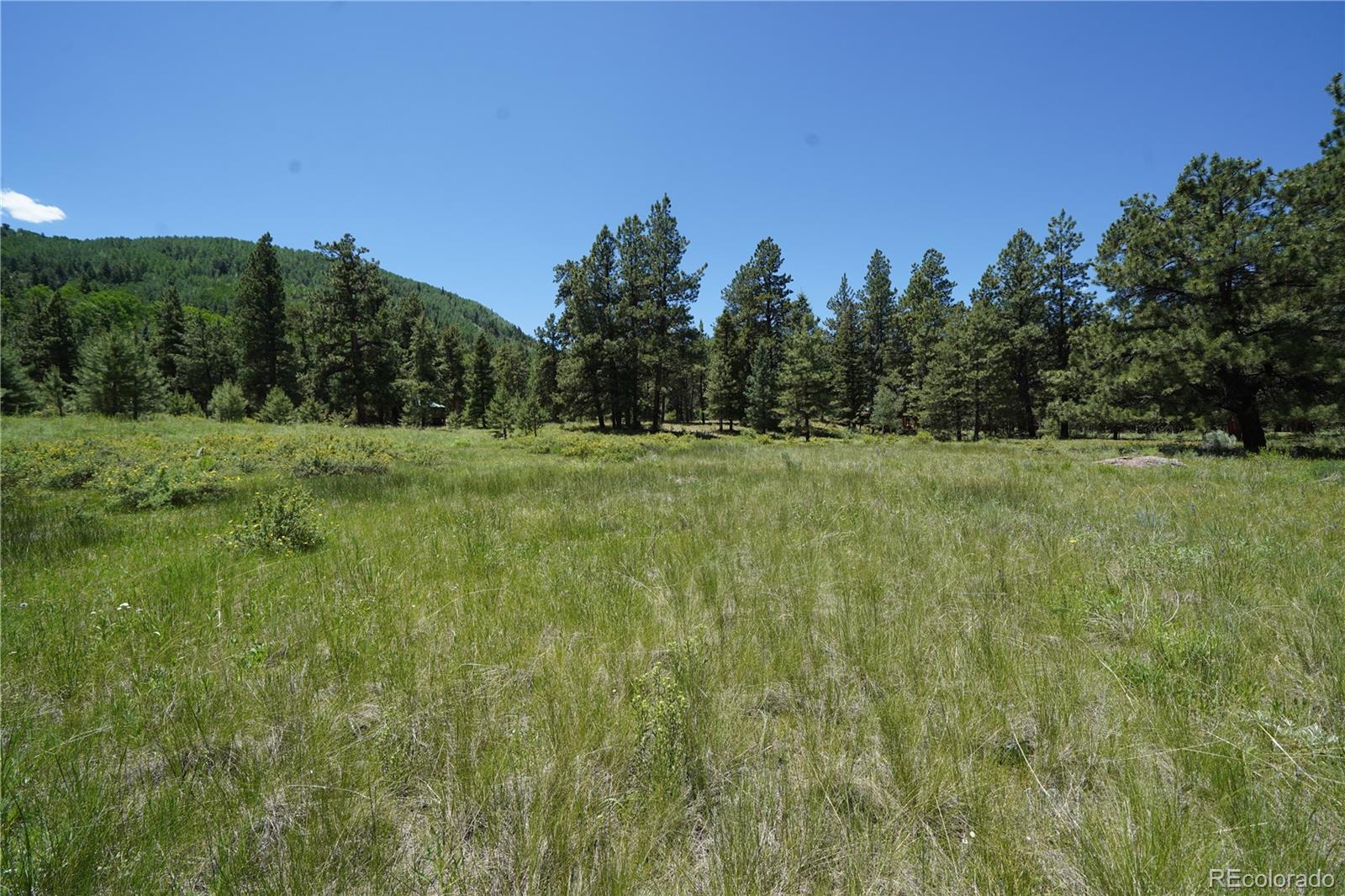 136 Elk Meadow Run Antonito CO 81120