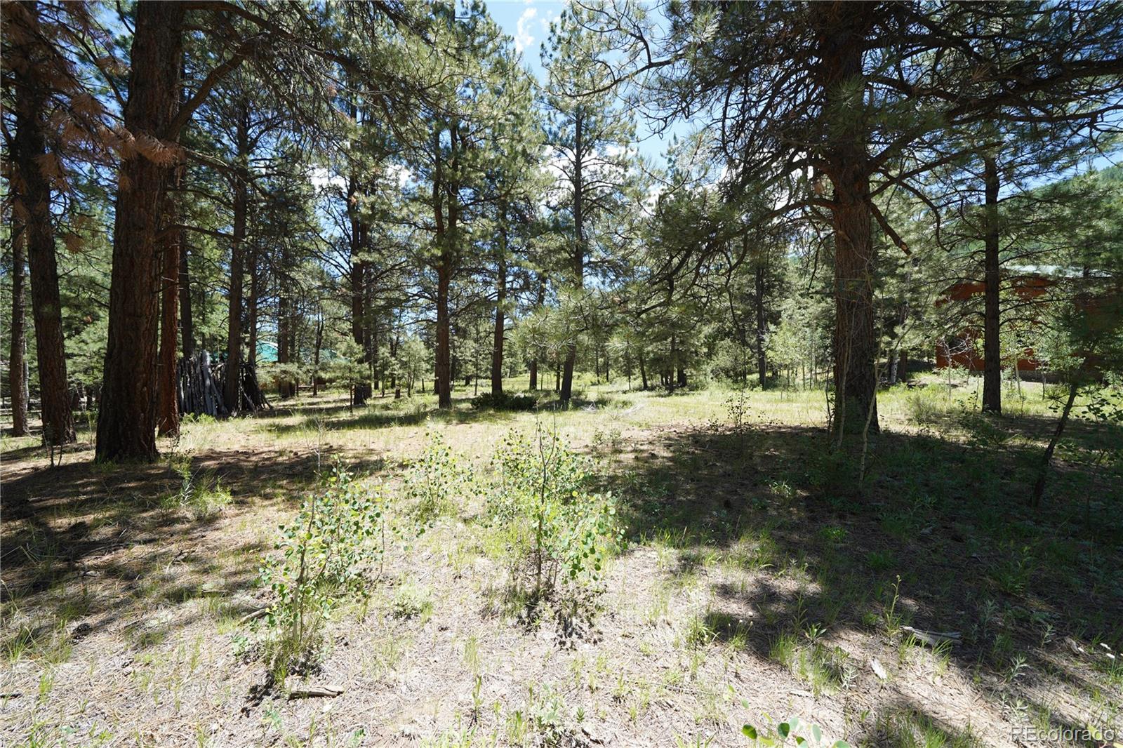 136 Elk Meadow Run Antonito CO 81120