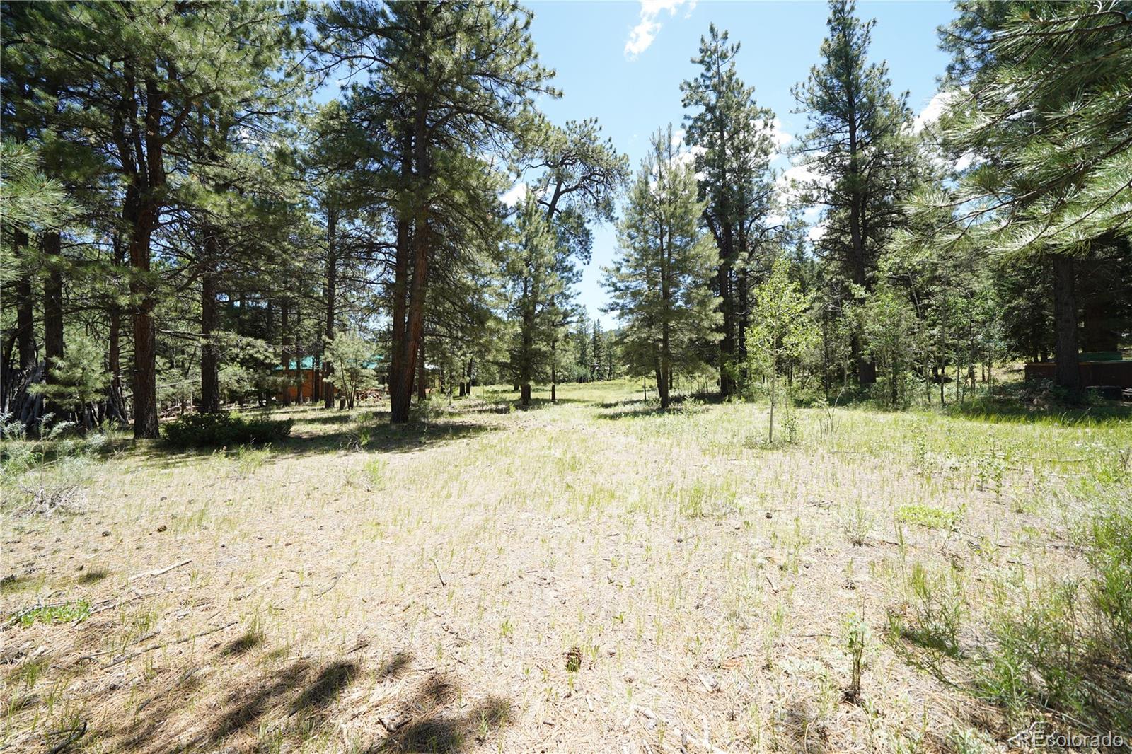 136 Elk Meadow Run Antonito CO 81120