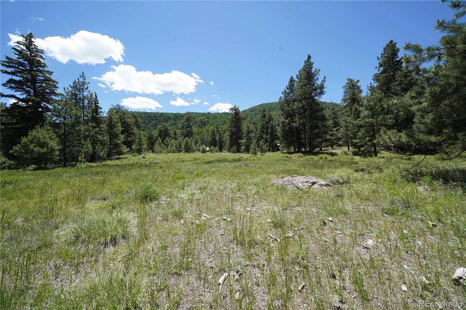 136 Elk Meadow Run Antonito CO 81120