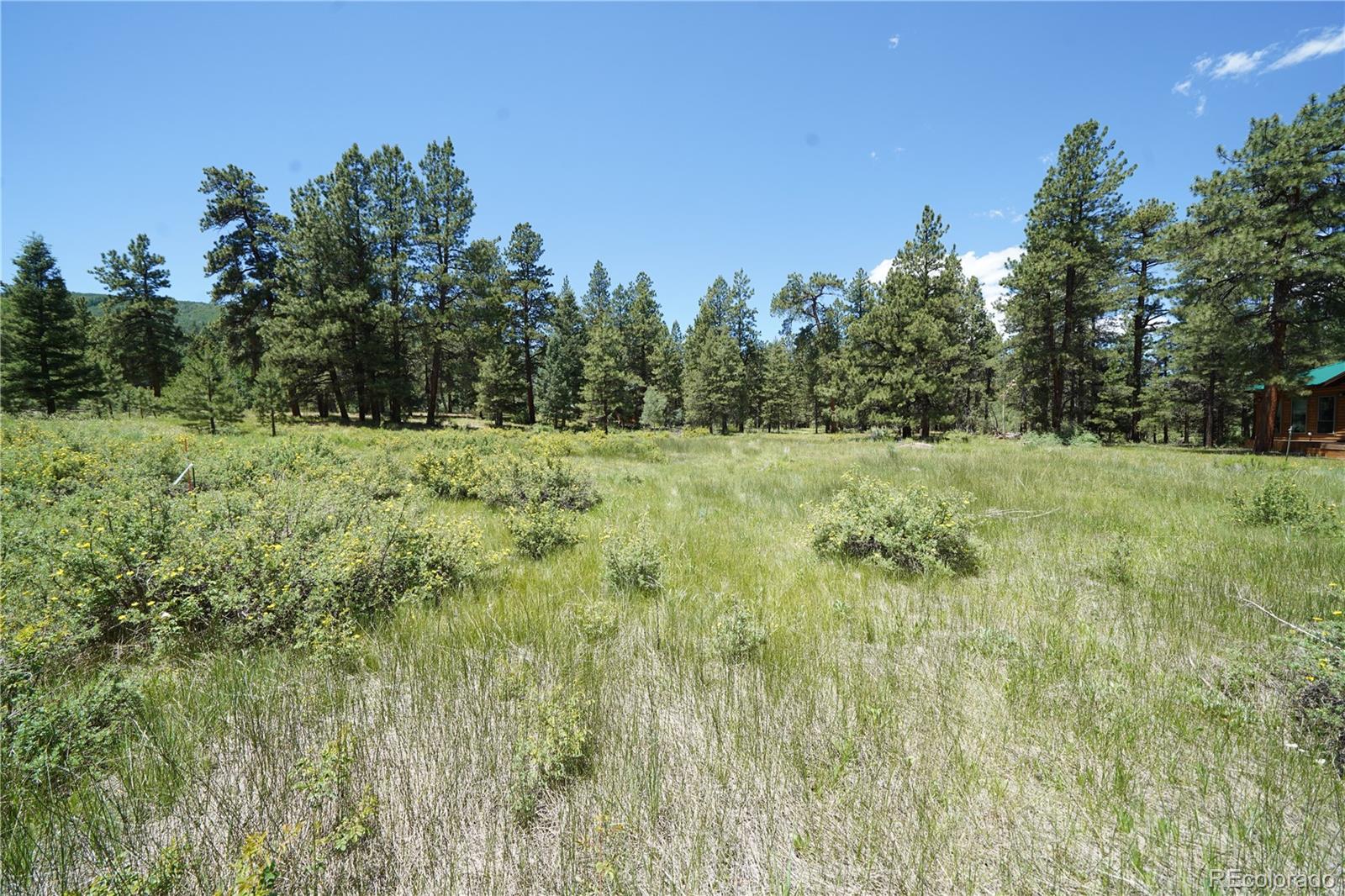 136 Elk Meadow Run Antonito CO 81120
