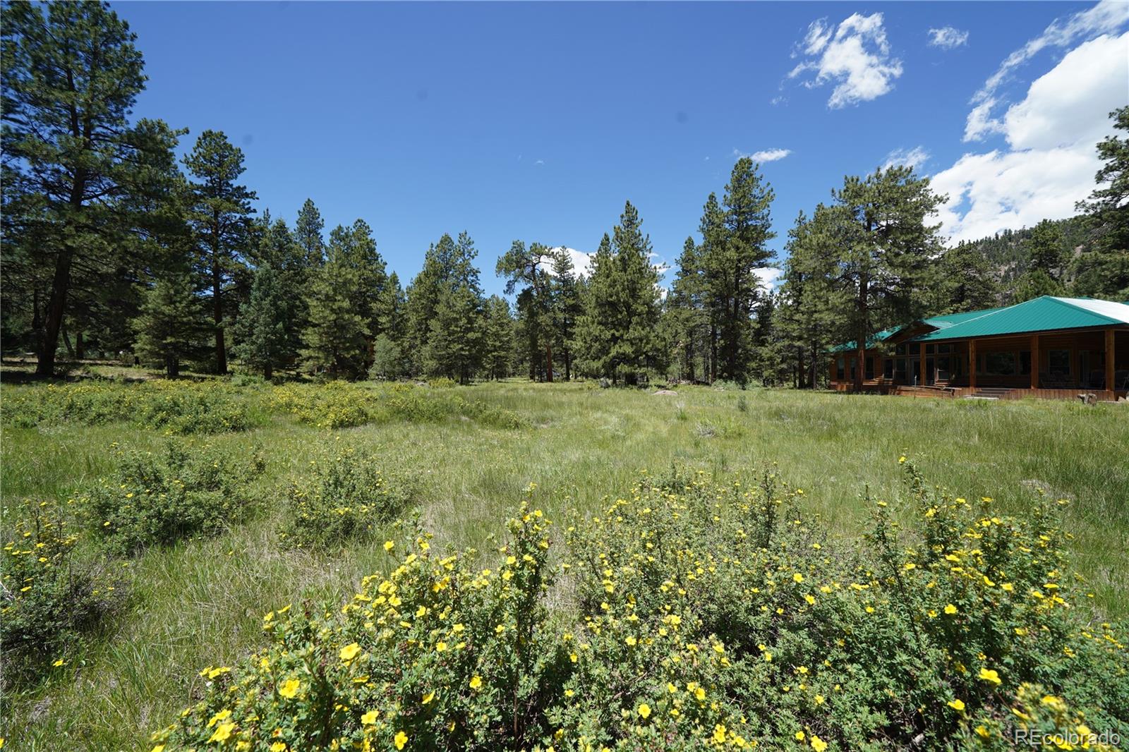 136 Elk Meadow Run Antonito CO 81120