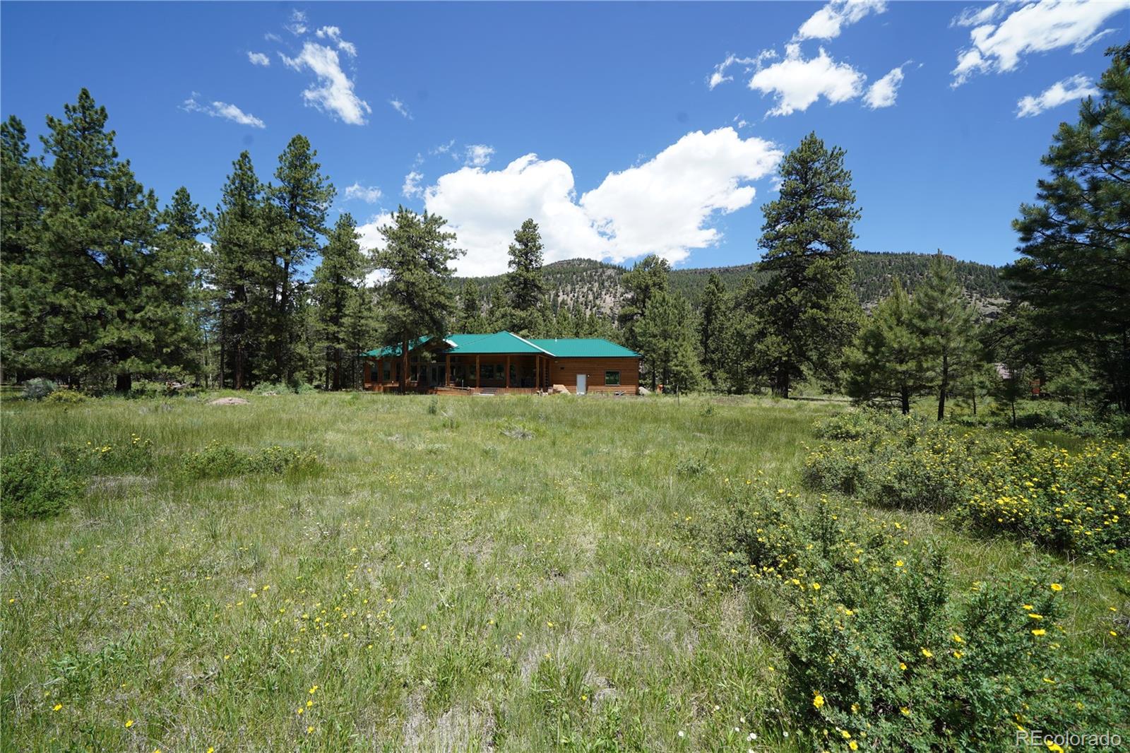 136 Elk Meadow Run Antonito CO 81120