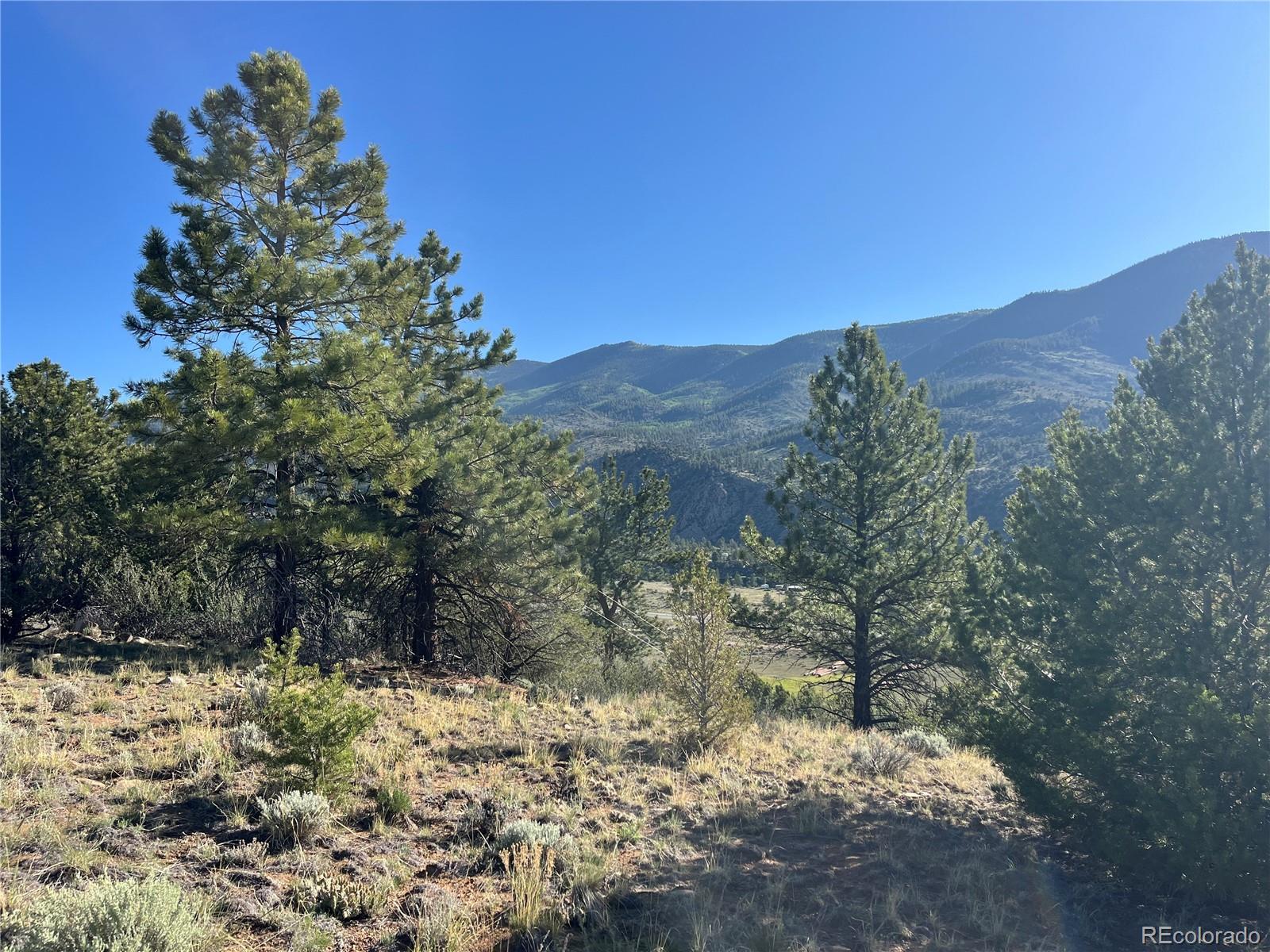 18322 S Lake Road Buena Vista CO 81211