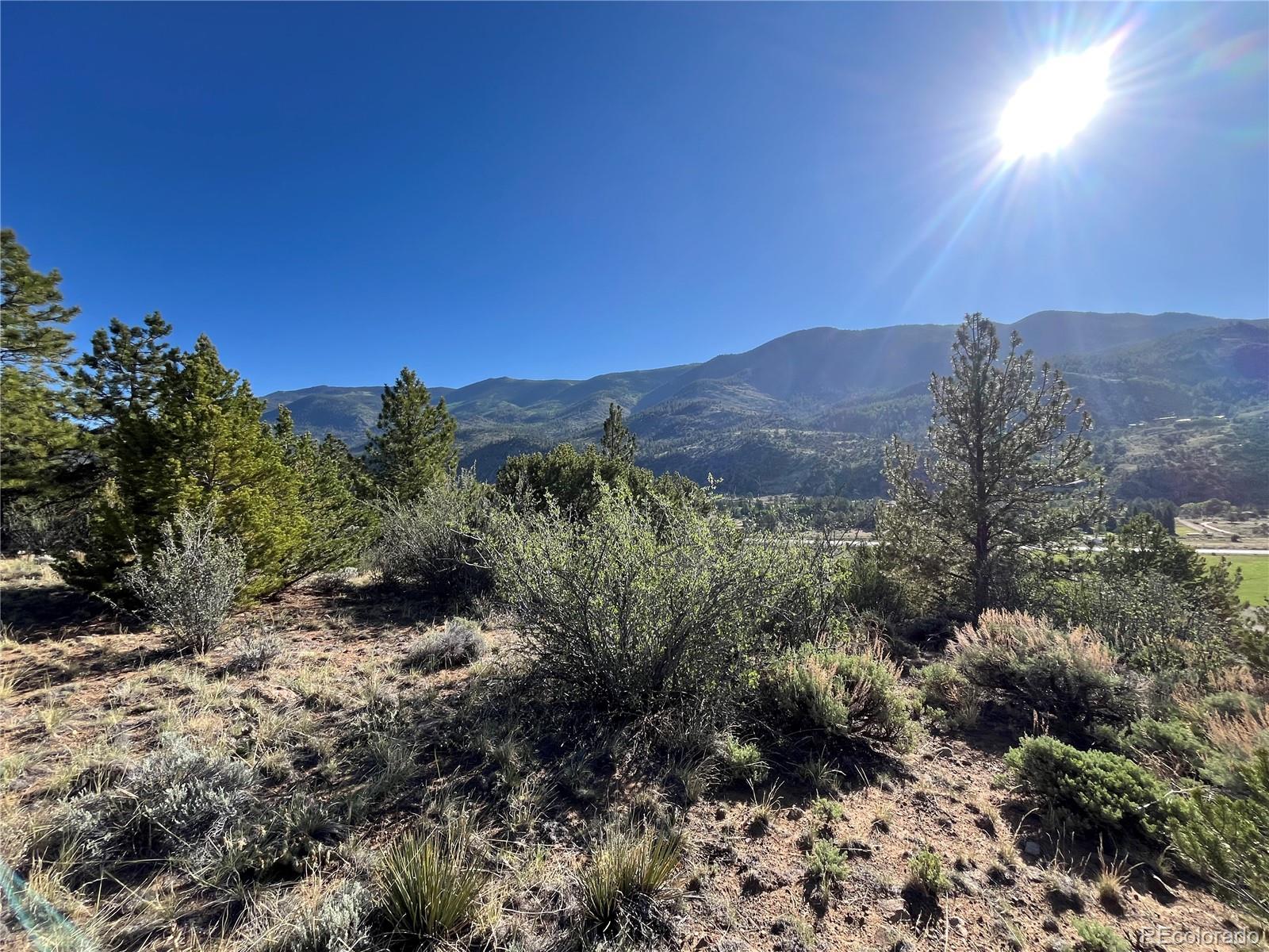 18322 S Lake Road Buena Vista CO 81211