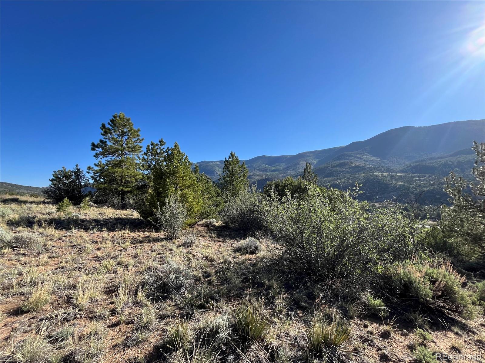 18322 S Lake Road Buena Vista CO 81211
