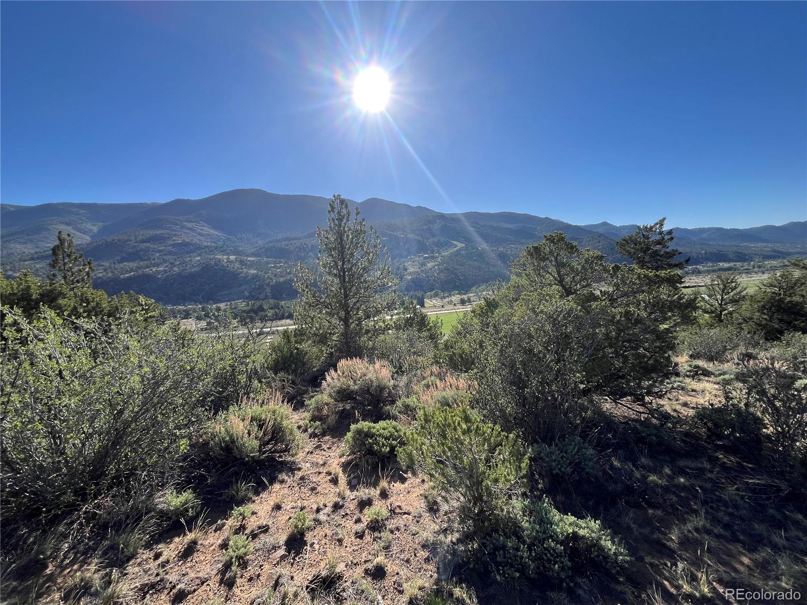 18322 S Lake Road Buena Vista CO 81211