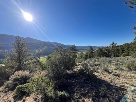 18322 S Lake Road Buena Vista CO 81211