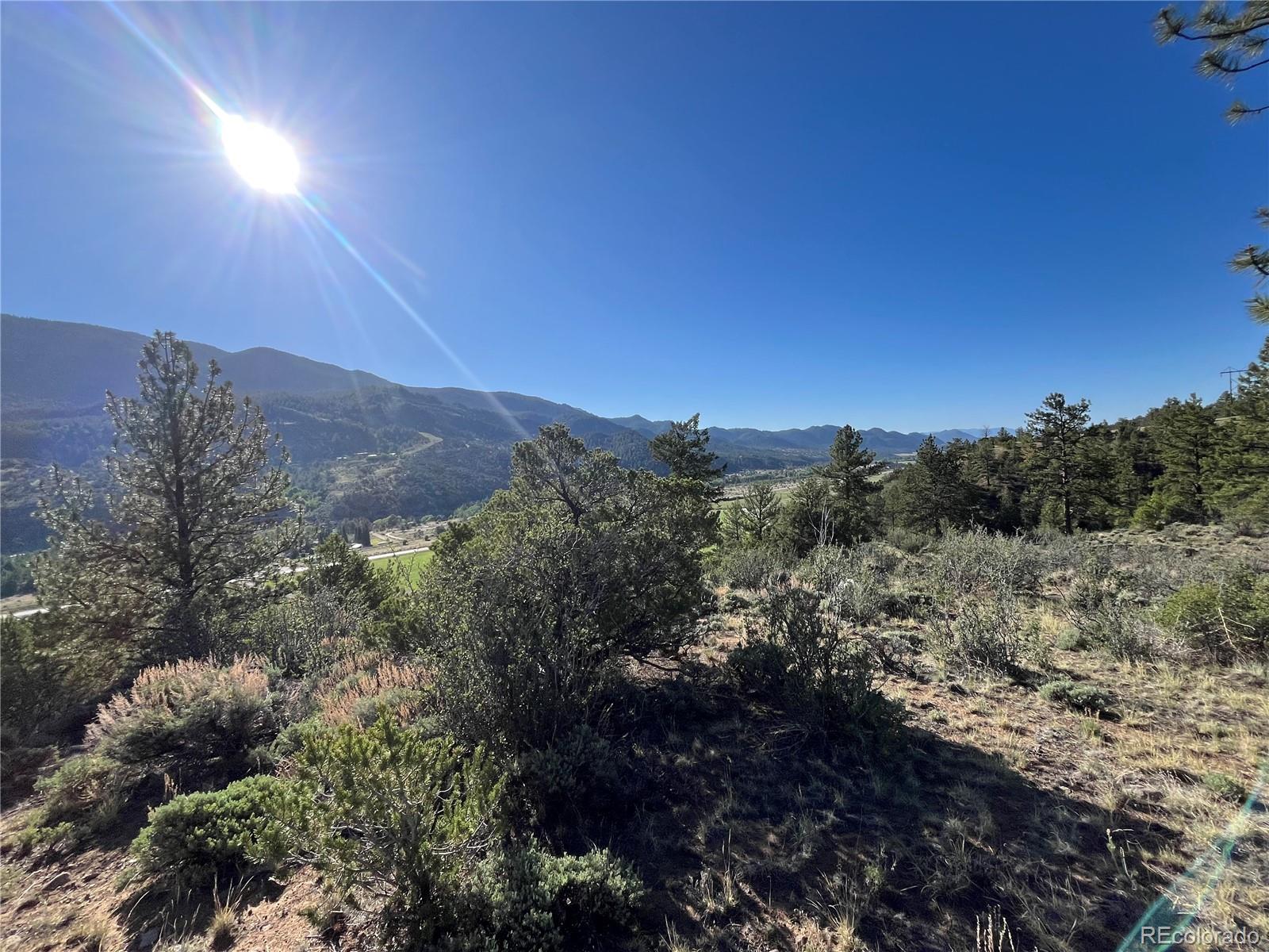 18322 S Lake Road Buena Vista CO 81211