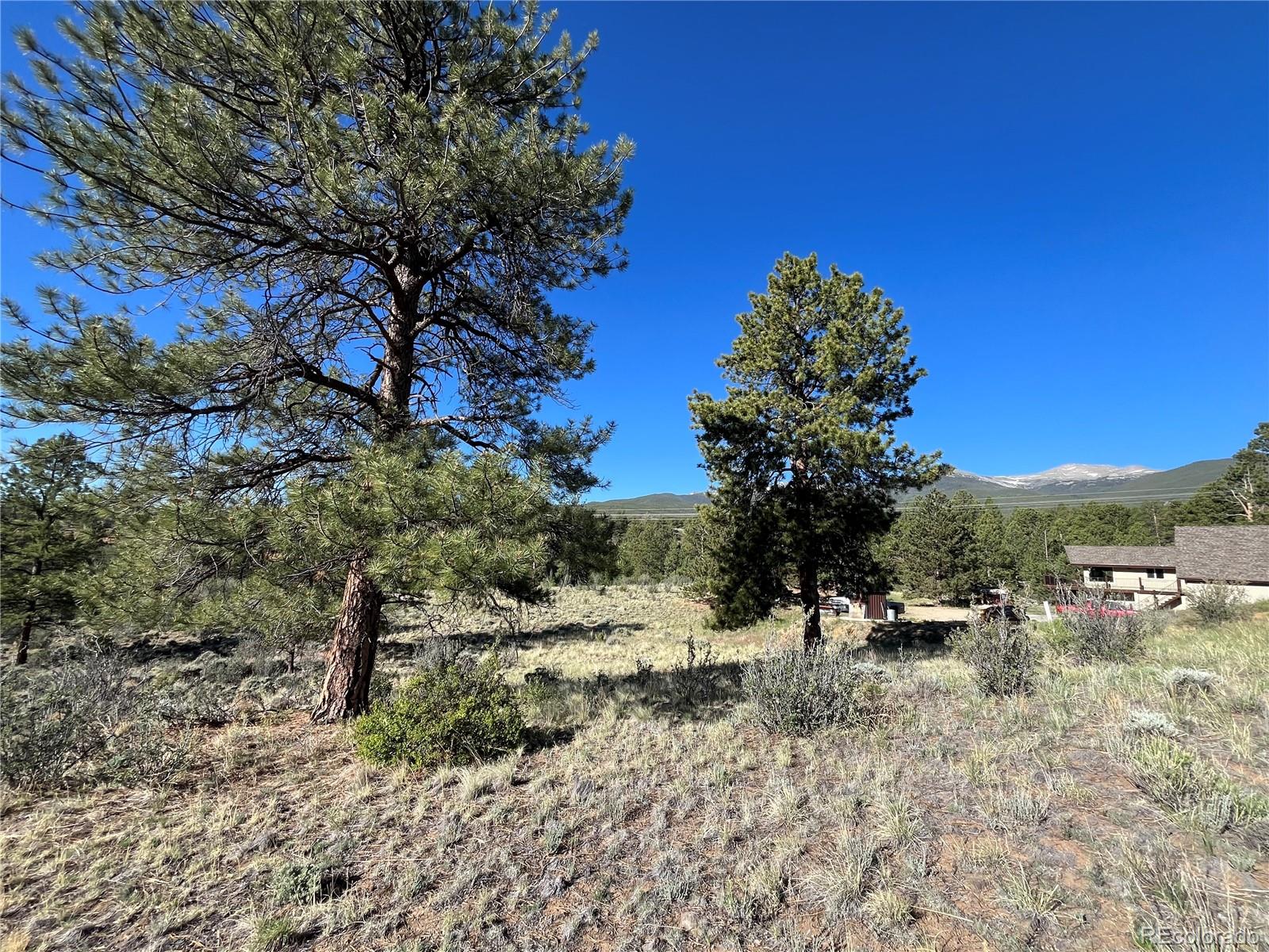 18322 S Lake Road Buena Vista CO 81211