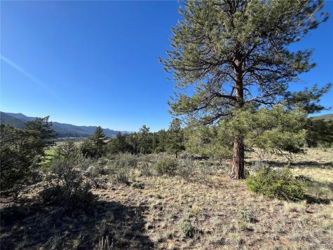 18322 S Lake Road Buena Vista CO 81211