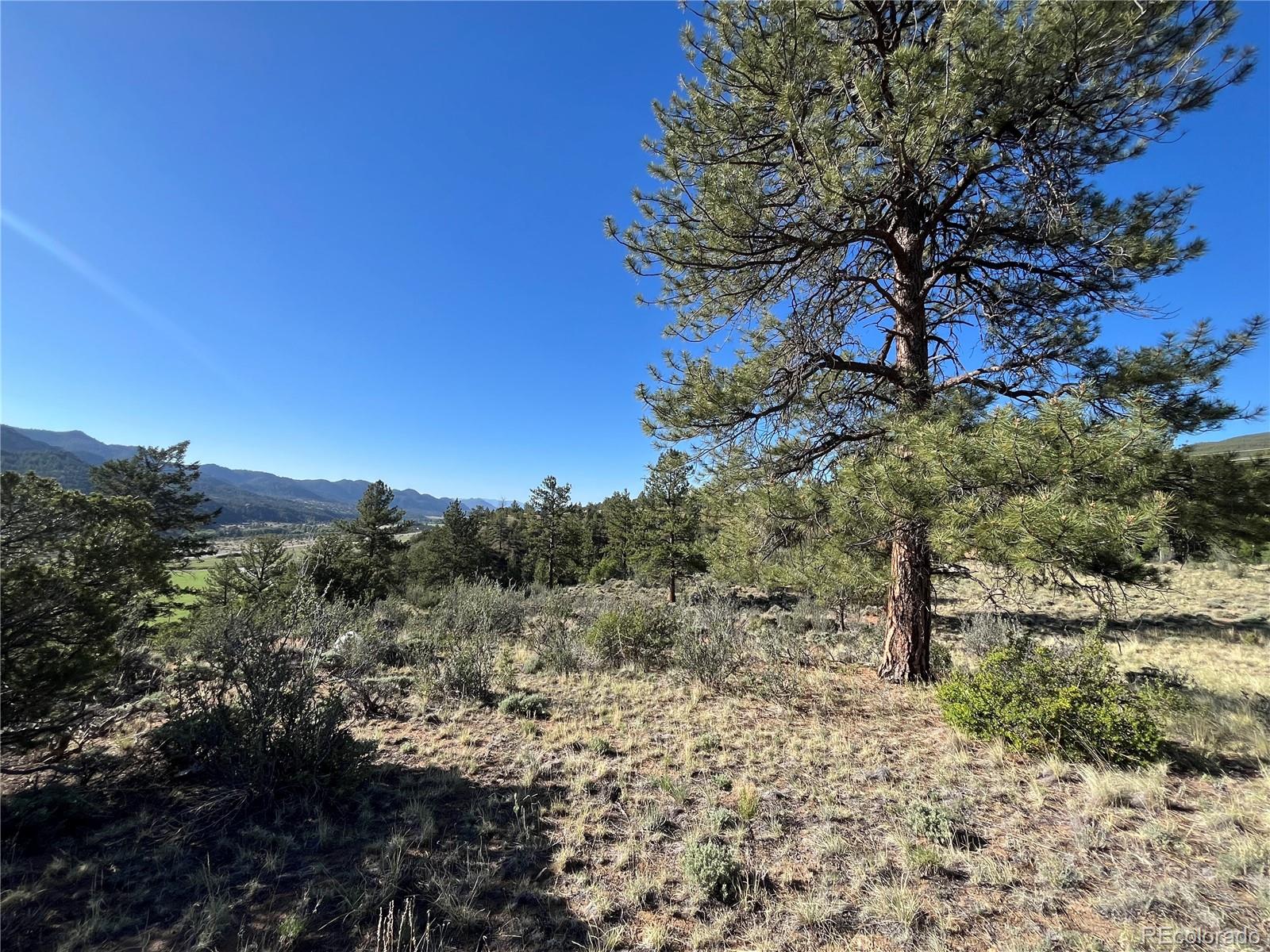 18322 S Lake Road Buena Vista CO 81211