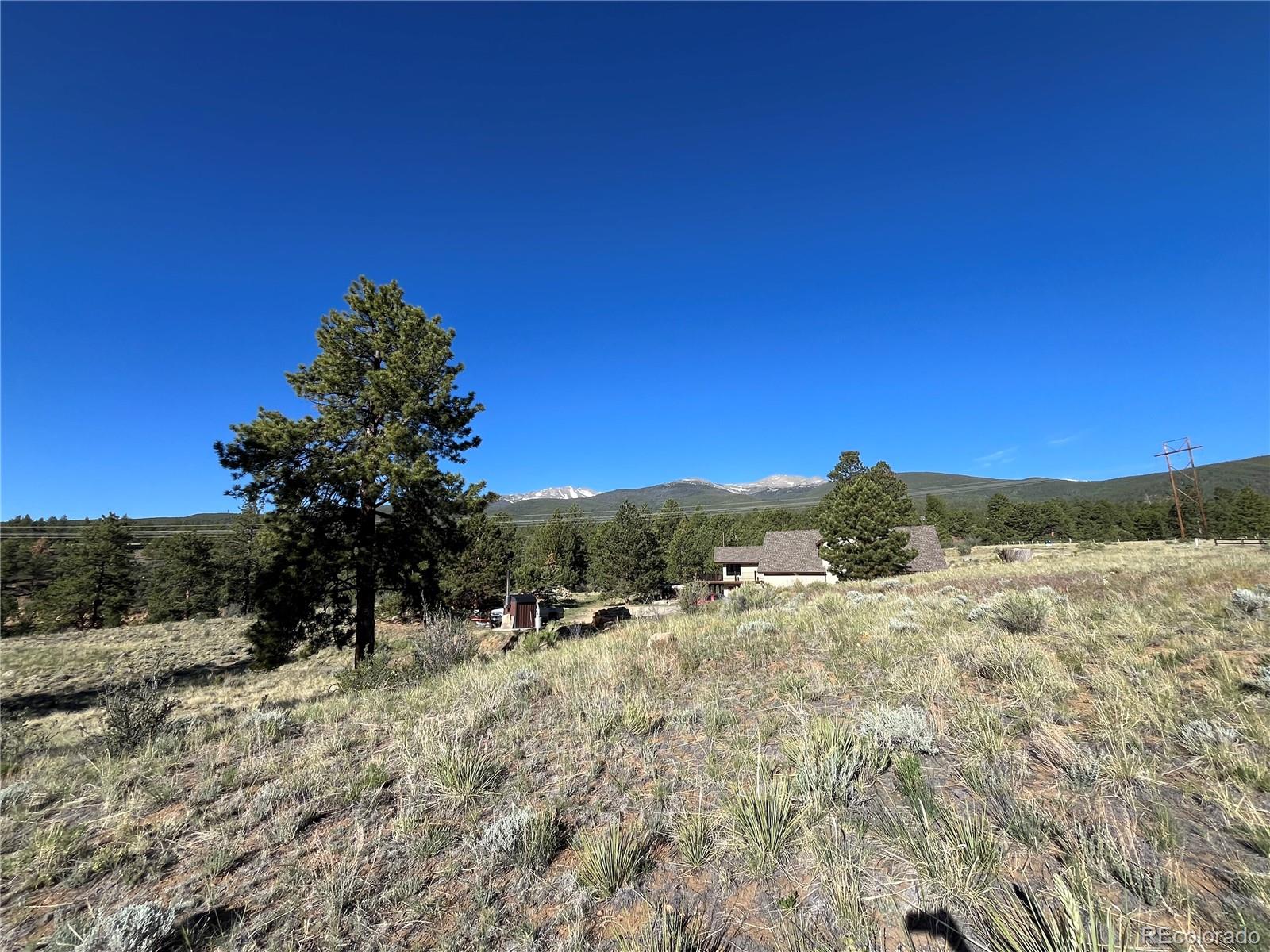 18322 S Lake Road Buena Vista CO 81211